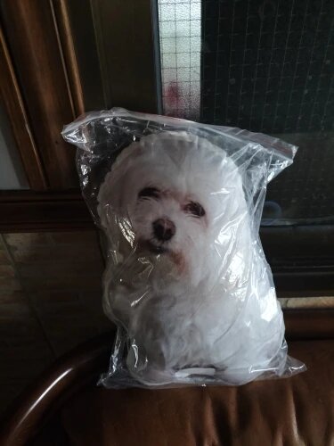Custom Pet Pillow