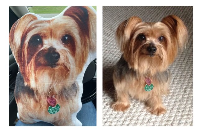 Custom Pet Pillow