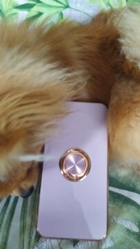 Kira - Samsung Case review