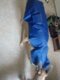Imperméable chien |  Raincoat