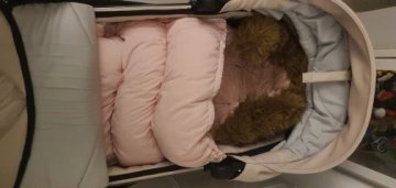 Chancelière bébé | HOUSBABY™ review
