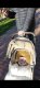 Chancelière bébé | HOUSBABY™