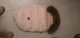 Chancelière bébé | HOUSBABY™