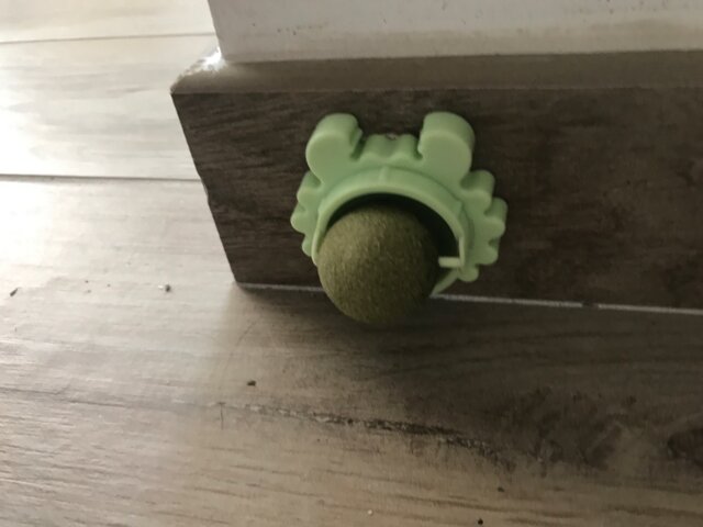 Craving Catnip Ball