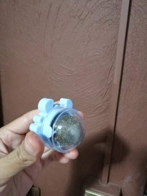 Craving Catnip Ball