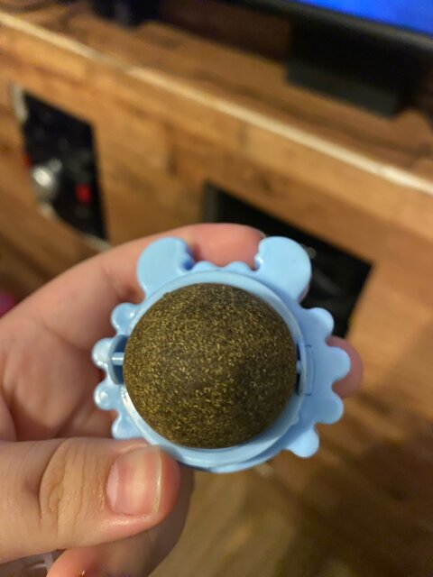 Craving Catnip Ball