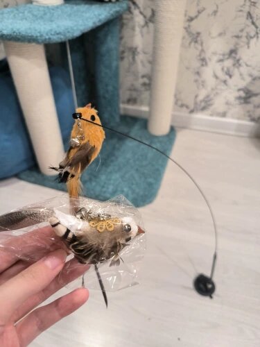 Flap N' Fly Bird Toy