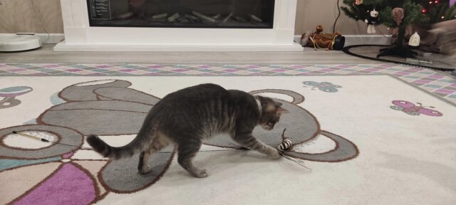 Flap N' Fly Bird Toy