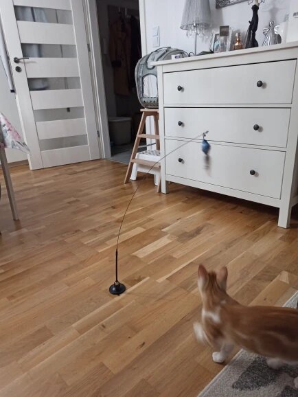 Flap N' Fly Bird Toy