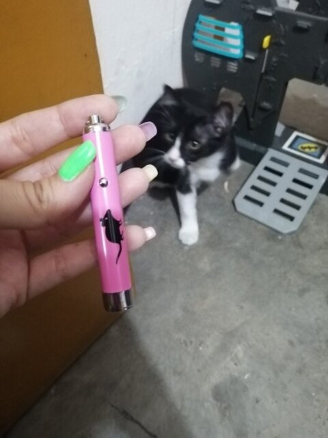 Mouse LED Laser