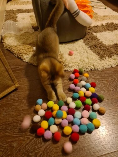 Purrfect Pom Poms