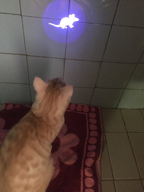 Mouse LED Laser