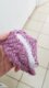 5 Pairs Cashmere Wool Blend Socks
