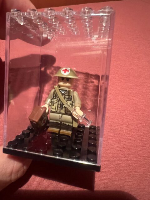 Figures Display Case
