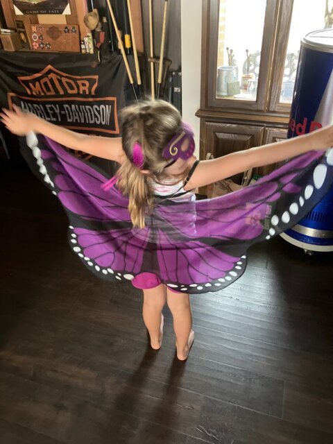 Maya L'abeille Costume Papillon Enfant, Ailes De Papillon Cape, Ailes