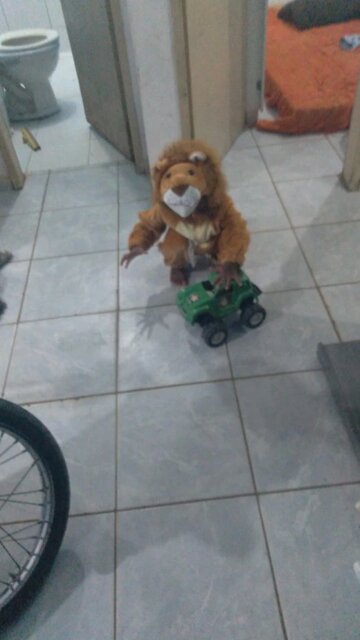 Deguisement lion - Symba