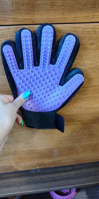 Pawfect Fur-Magnet Pet Grooming Gloves