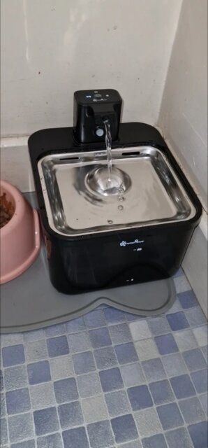 Pawfect Hydration Hub