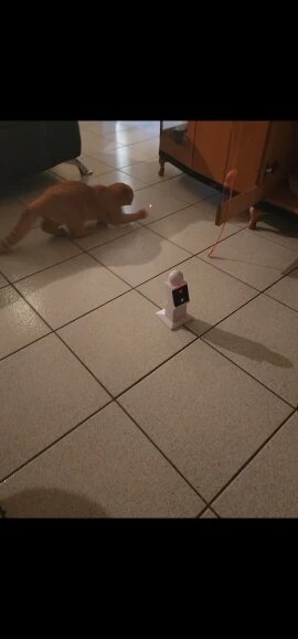 Pawfect Zoomies Laser Frenzy