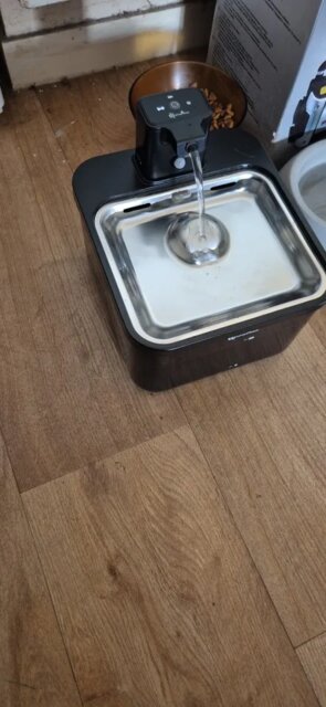 Pawfect Hydration Hub