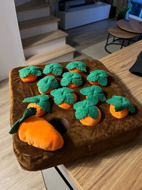 Pawfect Vegetable Chew Plush Pet Toys