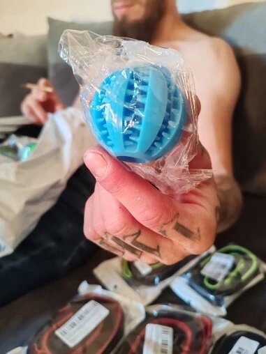 Pawfect Pet Chew Ball Toys