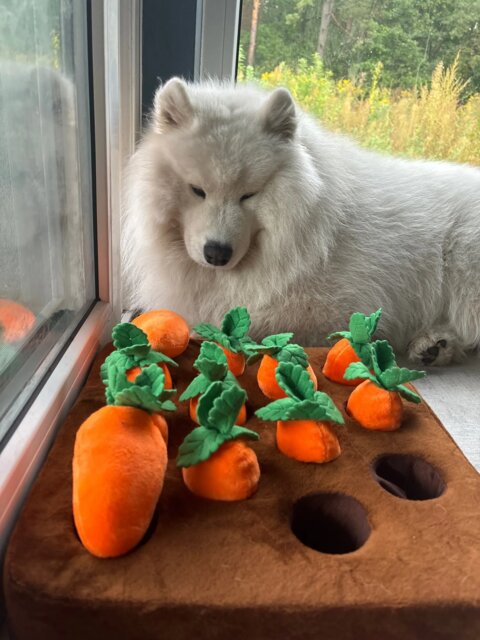 Pawfect Vegetable Chew Plush Pet Toys