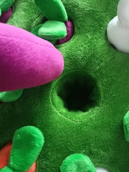 Pawfect Vegetable Chew Plush Pet Toys