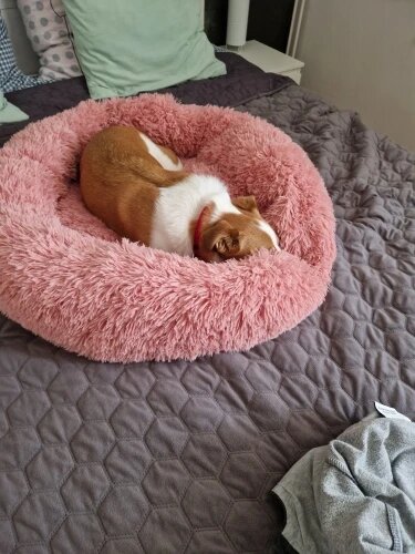 Lit rond | DouxRepos™