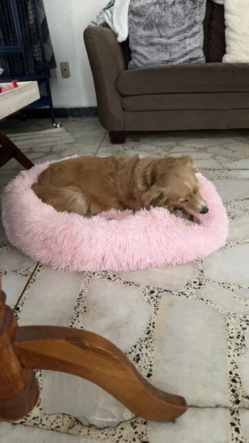 Lit rond | DouxRepos™