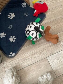 Balle de Jouet pour Chien review