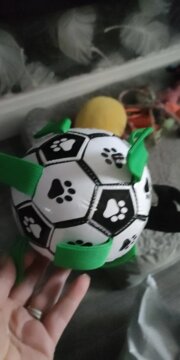 Balle de Jouet pour Chien review