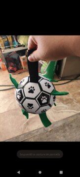 Balle de Jouet pour Chien review