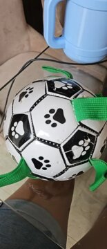 Balle de Jouet pour Chien review