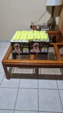 LANCEUR DE BALLS | BALL LUNCHER™ review
