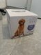 LANCEUR DE BALLS | BALL LUNCHER™