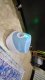 LANCEUR DE BALLS | BALL LUNCHER™