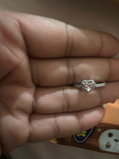 Rotating Forever Rose Box - W/ Promise Ring
