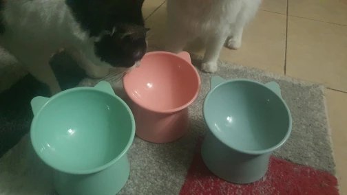 Gamelle chat surélevée | TopDiner™