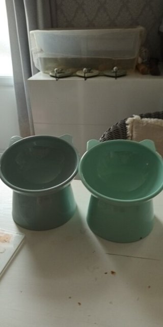 Gamelle chat surélevée | TopDiner™