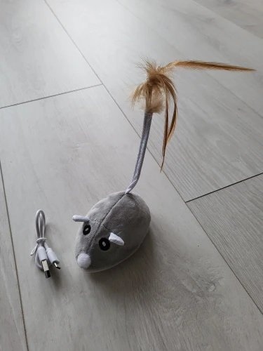 Souris pour chat | Souricat™