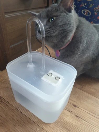 Fontaine à eau pour chat | CatWater™