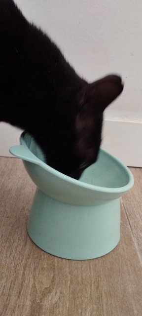 Gamelle chat surélevée | TopDiner™