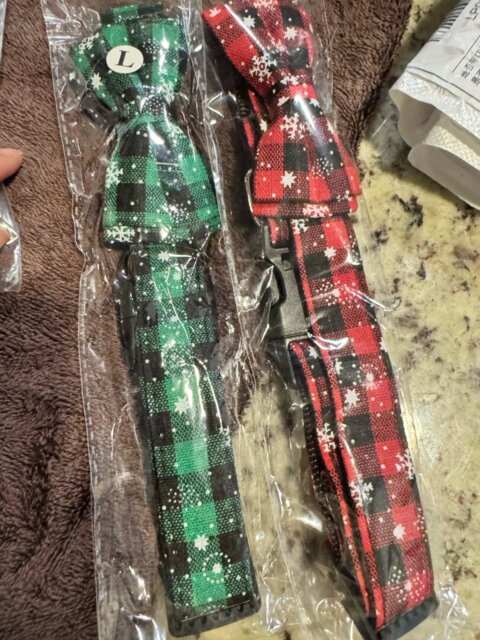 Collier pour Chien | Papinoel™