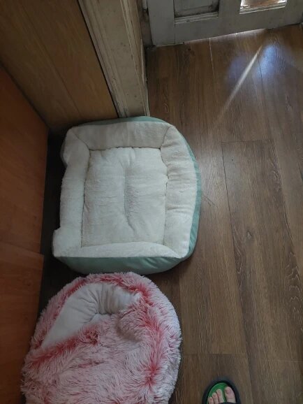 Lit pour chat | Apaisant