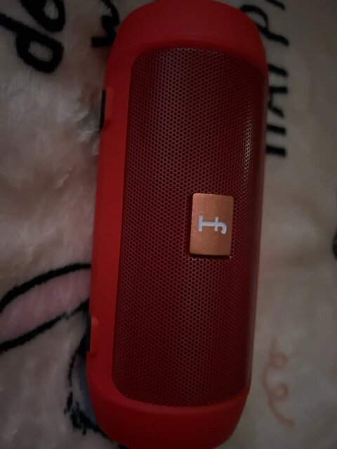 Dual Speaker Stereo Outdoor