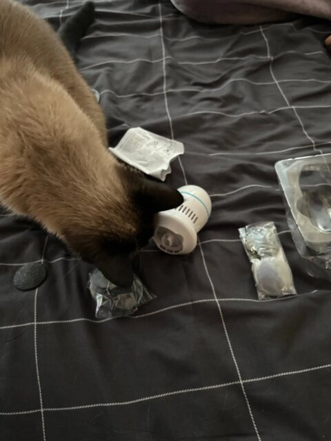Vacuum Absorption Foot Grinder