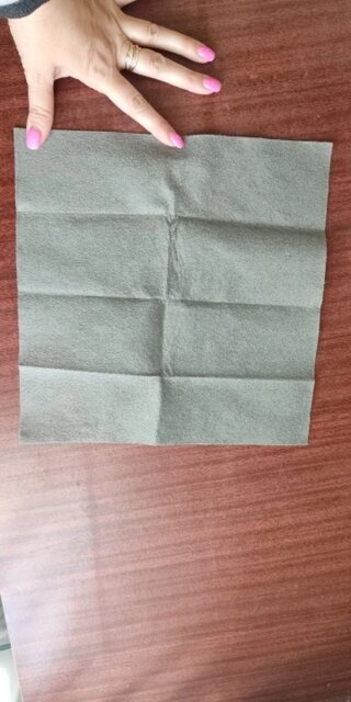 ProClean Magic Cloth