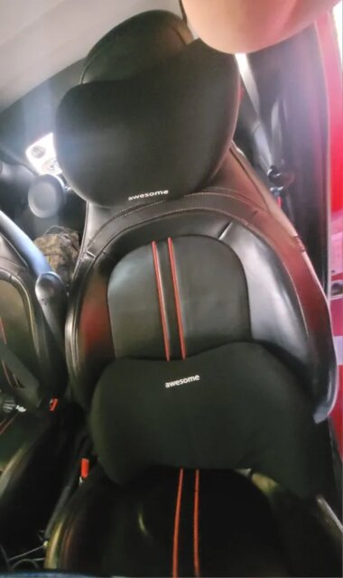 DreamSupport Cervical and Lumbar Car Pillow