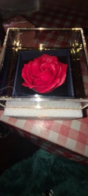 Eternal Rose Box - W/ Engraved Necklace & Real Rose